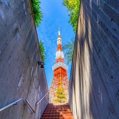 東京フリープランイメージ